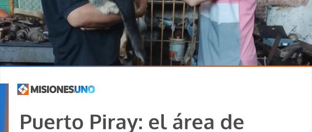 Puerto Piray: el área de Zoonosis realizó vacunación antirrábica en la planta de celulosa